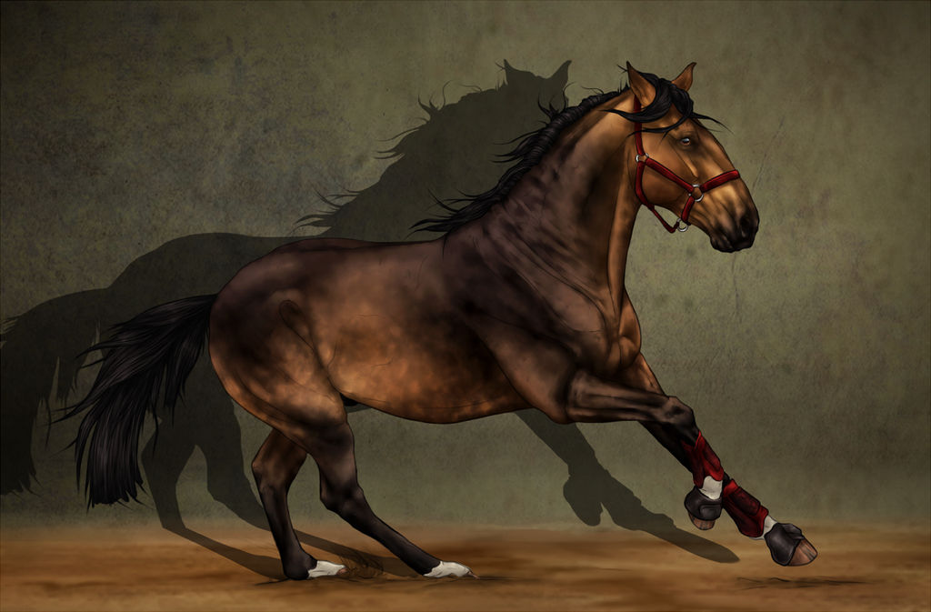 SWS Maestoso by CalyArt