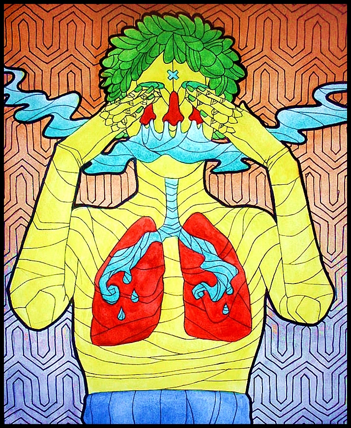 Nose and Lungs