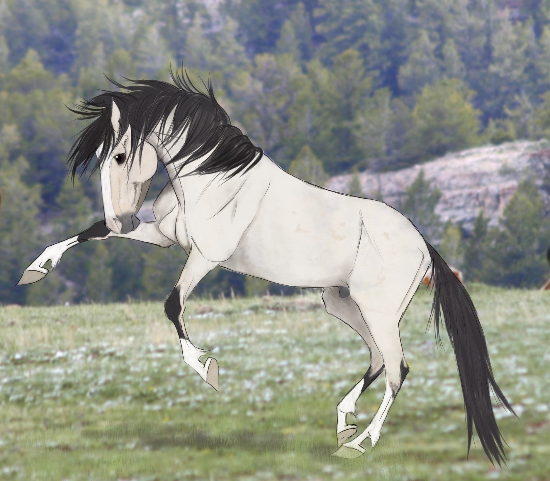 Elko the Pryor mustang stallion by Alextrim92 on DeviantArt