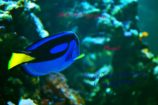 Just Dory