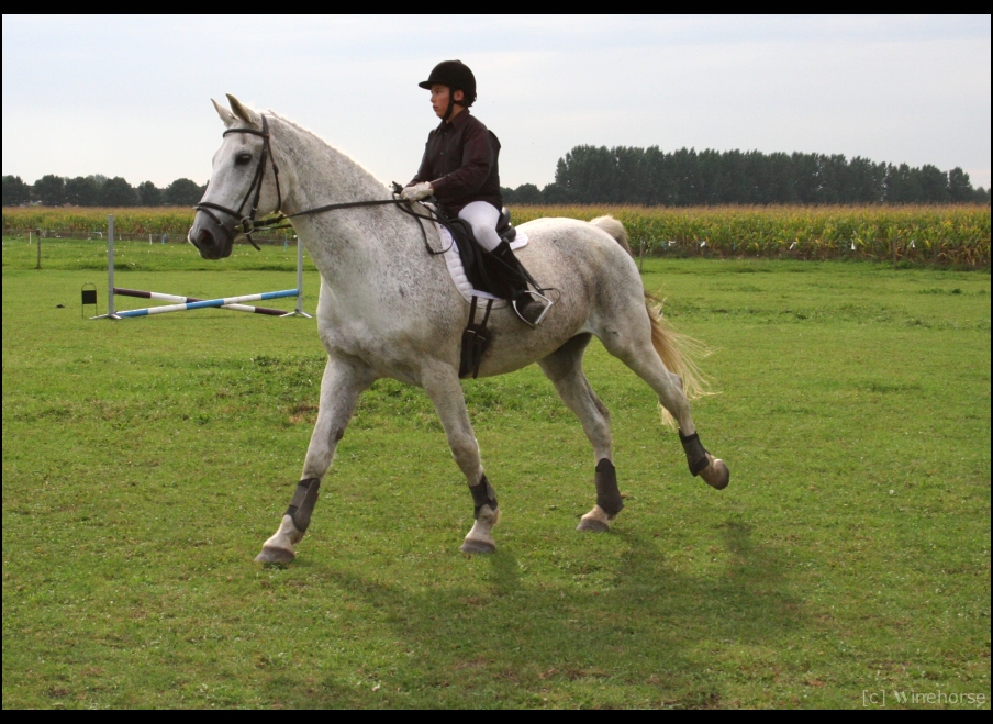 Little Boys On Big Horses