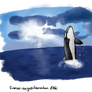 Orca