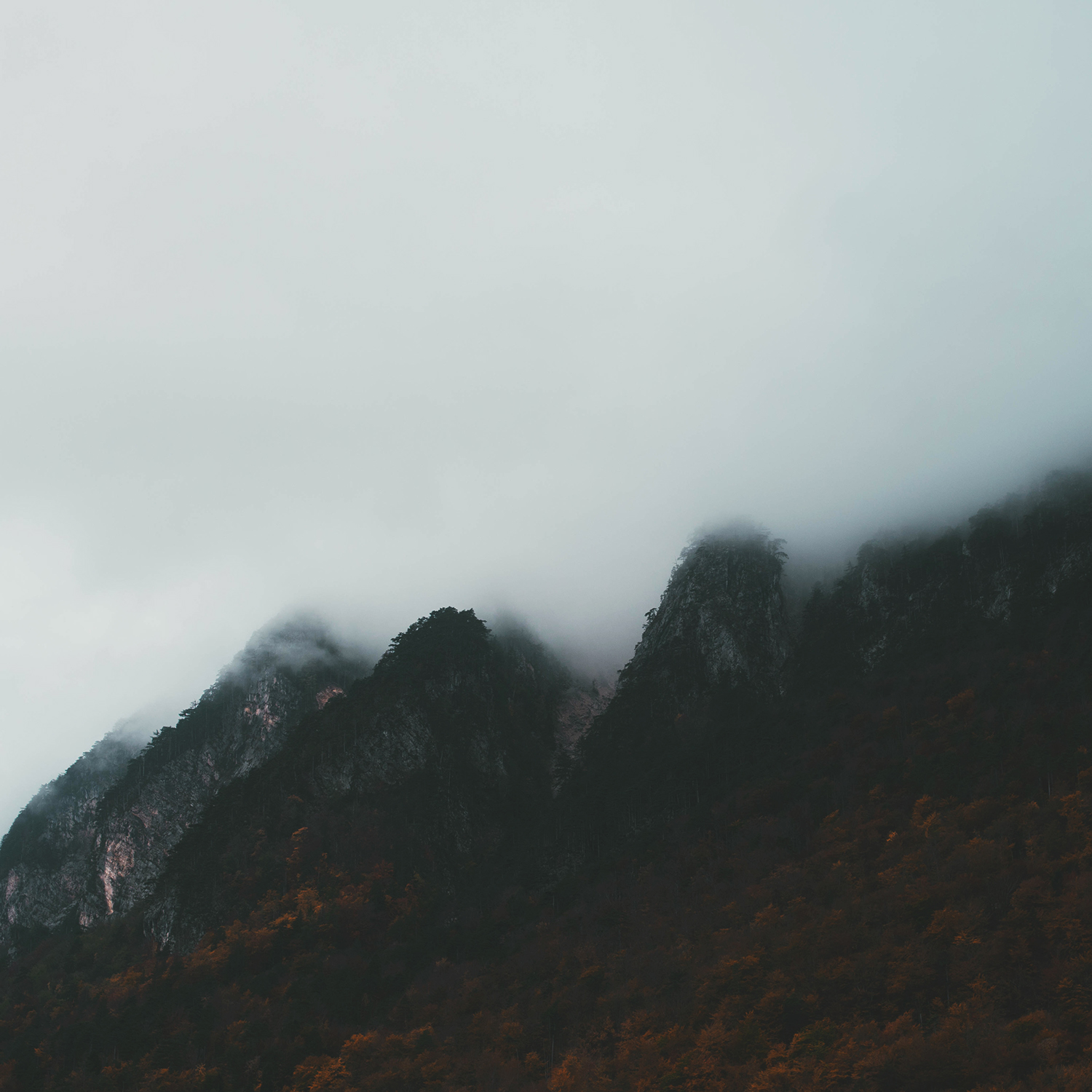 foggy mountains of Carinthia