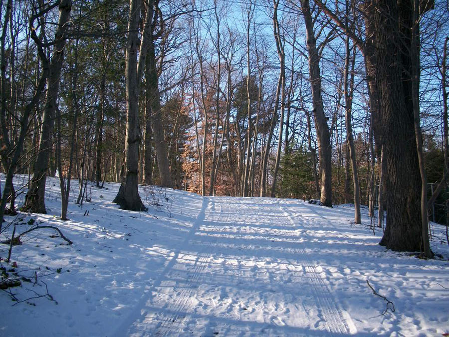 Cold Winter Path