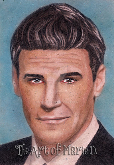 David Boreanaz Portrait