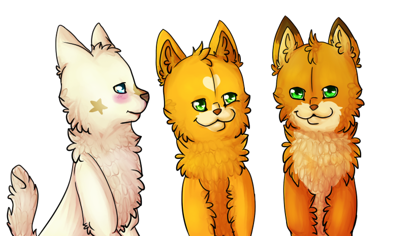 .:3 Kits:.