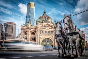 Flinders Street Station horses