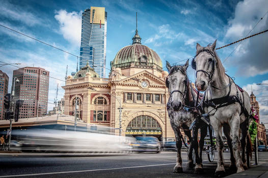 Flinders Street Station horses
