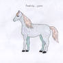 Horse adopte 2