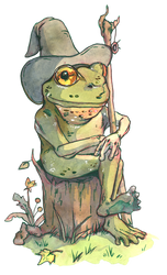 Frog wizard