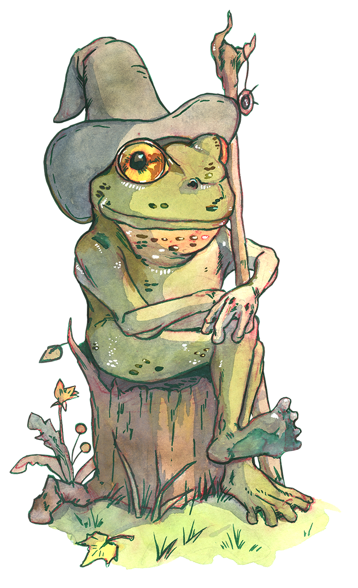 Frog Wizard 4 In Frog wizard by KarolDalaiSarash on DeviantArt