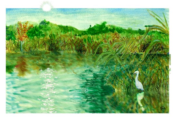 Laguna senza sale by bognetti