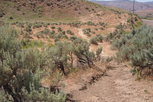 Burial Site Van Ornum Family Oregon