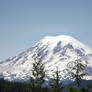 Mt Rainier Washington