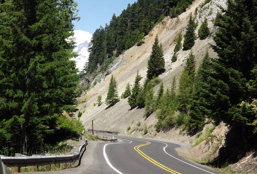 Route 12 To Mt Rainier Washington