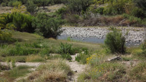 Rio Grande River Beauty