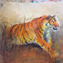 Oil and Watercolor Tiger