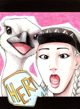 Zico/Ostrich=new OTP