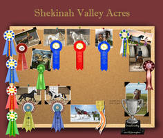 Shekinah Valley Awards Board