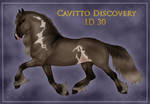 Cavitto Discovery 30 by sVa-BinaryStar