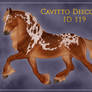 Cavitto Group Horse 119