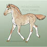 9487  Foal Design