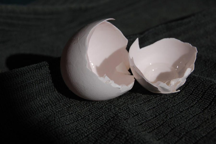 Stock 206 - Egg Shell