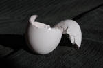 Stock 208 - Egg Shell by pink-stock