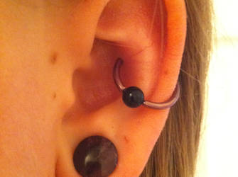 Conch Piercing