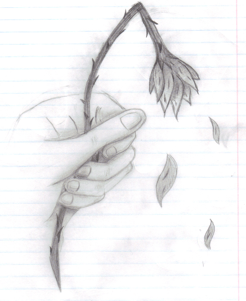 Hand Holding Flower by bringerofeternaldark on DeviantArt