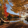 Fall colors around a lake