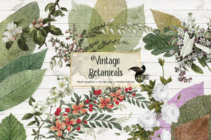 Vintage Botanicals  