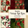 Vintage Red Rose Digital Paper  