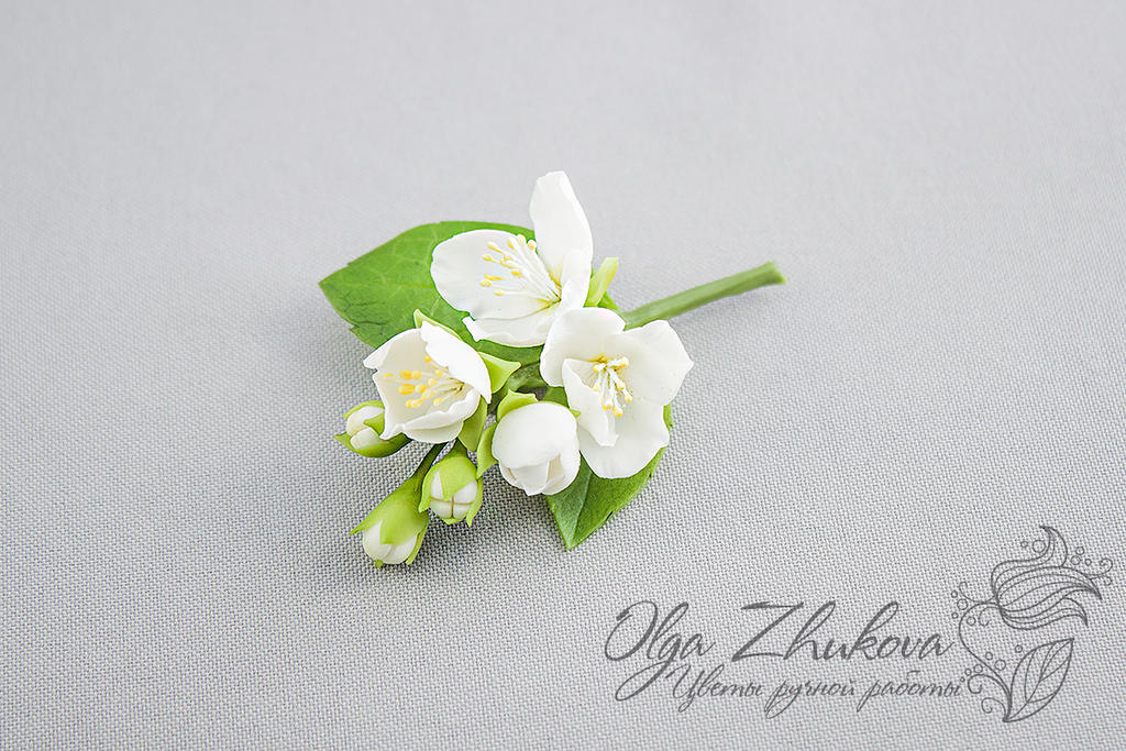 brooch with jasmine flowers