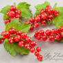 Brooch with red currants