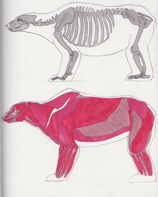My Image 19