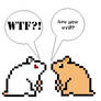 Hamster Comic