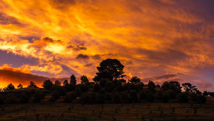 Sunset clouds