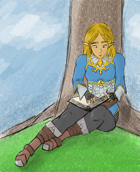 Reading Zelda