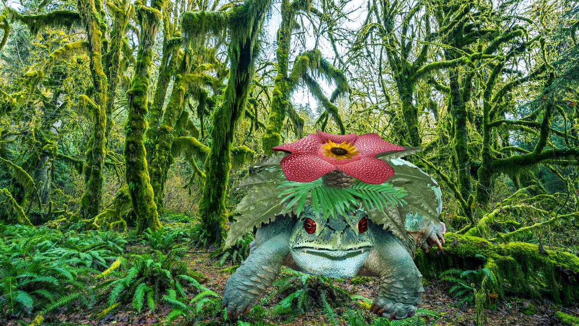 Deviantart Real Life Real life Venusaur by WrathOfSithis on DeviantArt