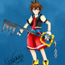 Sora Kingdom Hearts