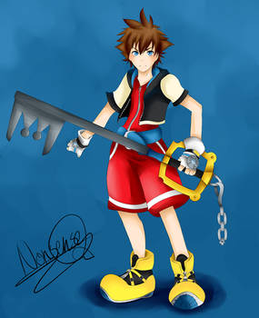 Sora Kingdom Hearts