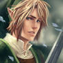 Twilight Princess - Link