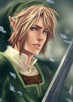 Twilight Princess - Link