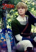 Link - Legend of Zelda: Twilight Princess