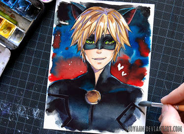 Cat Noir - Miraculous Ladybug