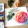 Watercolor Rose