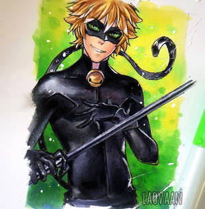 Chat Noir - Miraculous Ladybug