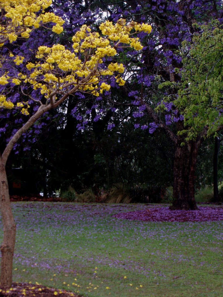 Surrounded by colours