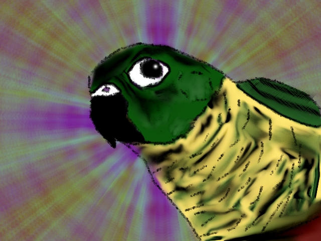 Super Parrot by Dvahn on DeviantArt